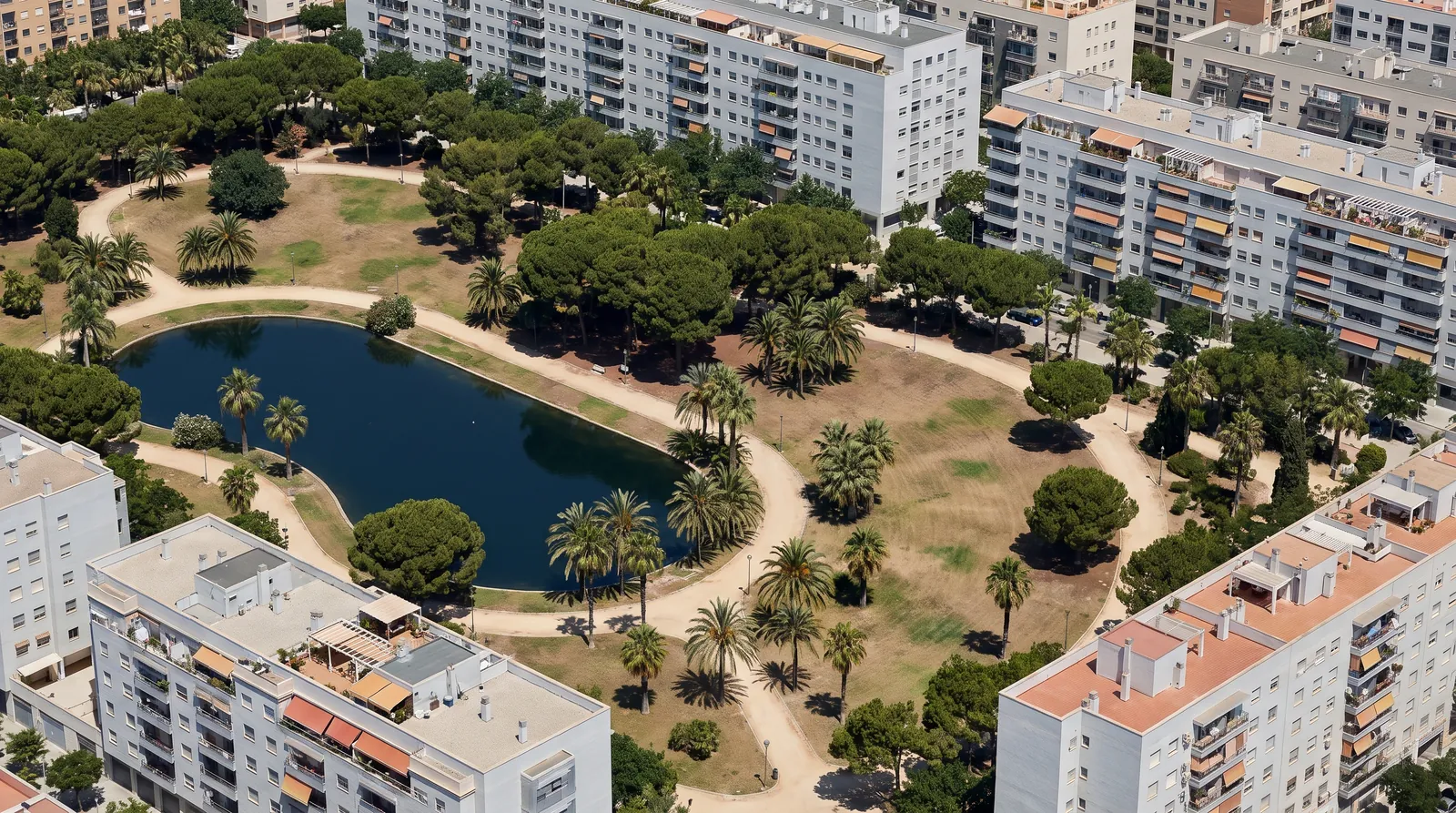 Gran parque urbano con paseos de albero, pinos, palmeras y un estanque, rodeado de bloques de viviendas.
